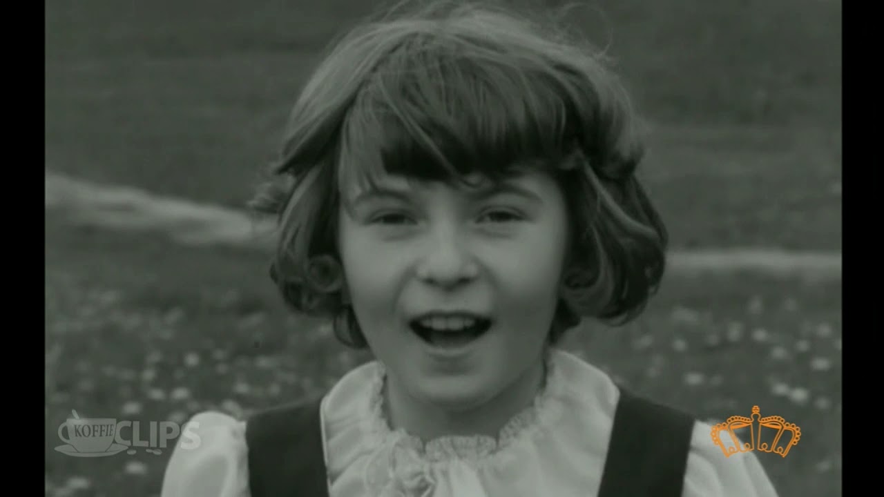 Wilma - Tachtig Rode Rozen