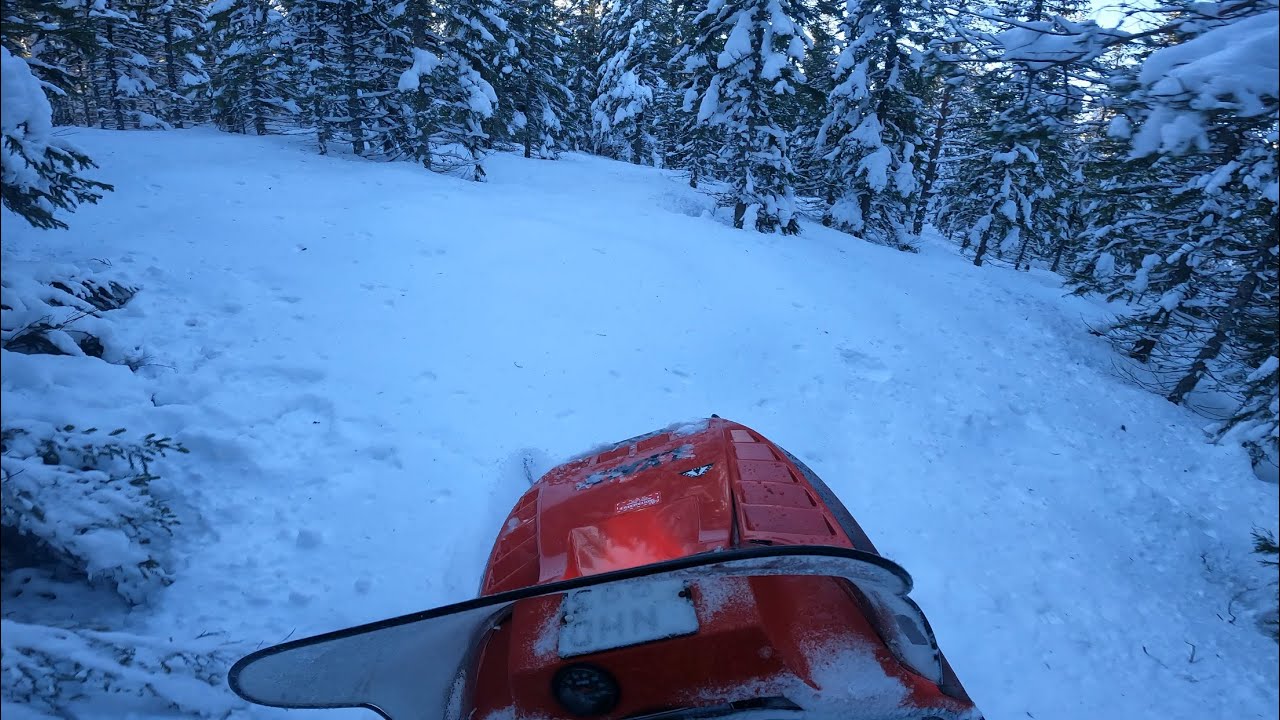 Lynx gl 3900 1988