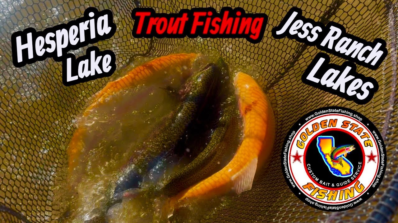 Ultralight Trout Fishing at Hesperia and Jess Ranch Lakes CA