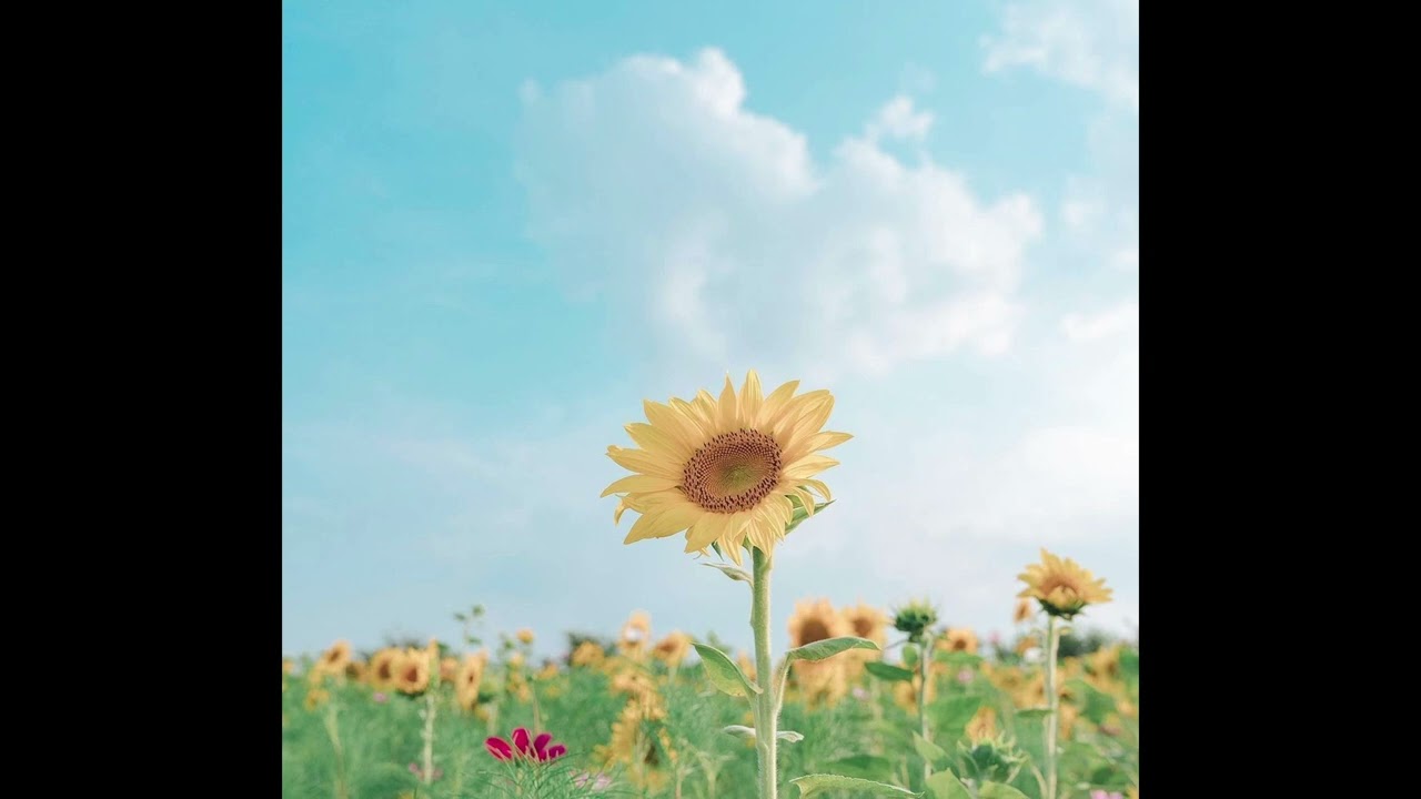 [FREE] Aries x Anti-Pop Type Beat - 