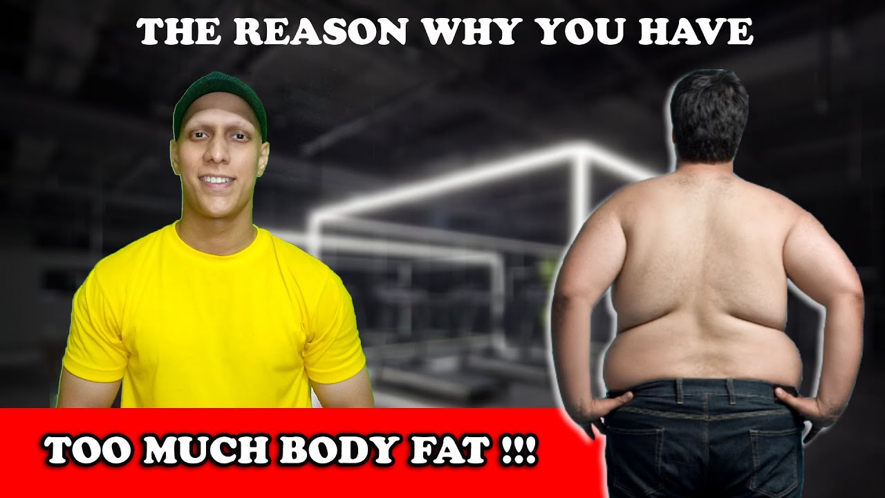 The Reason why You have TOO MUCH BODY FAT !!!