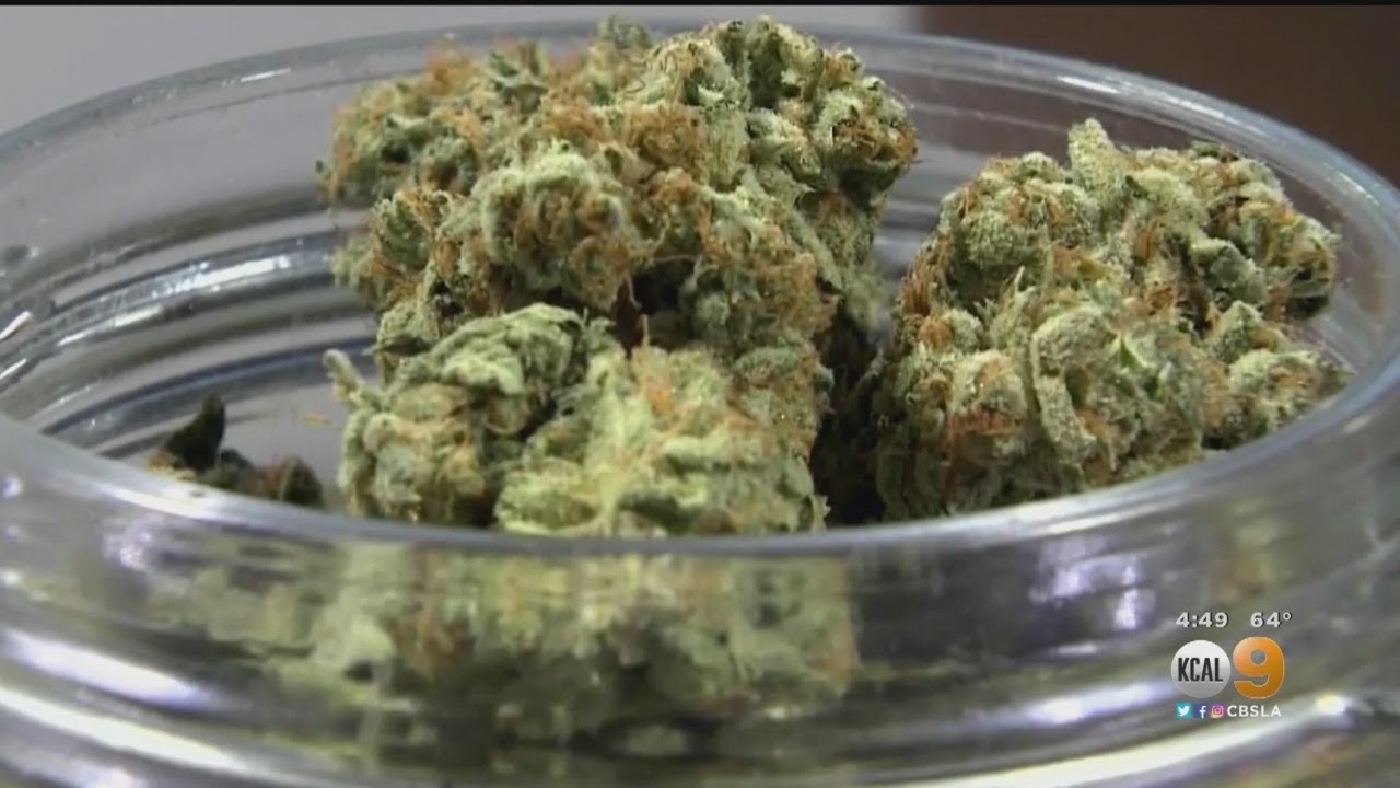 Panel Of Scientists Says Using Cannabis During Pregnancy Poses Risk