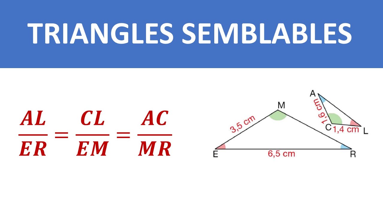 TRIANGLES SEMBLABLES ( COURS ) ► 3&Egrave;ME ANN&Eacute;E COLL&Egrave;GE - 3APIC BIOF