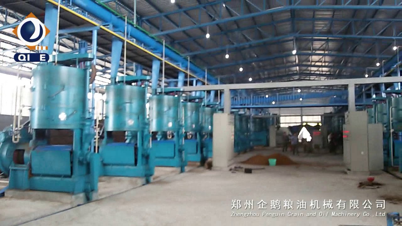 300TPD copra Oil press Project