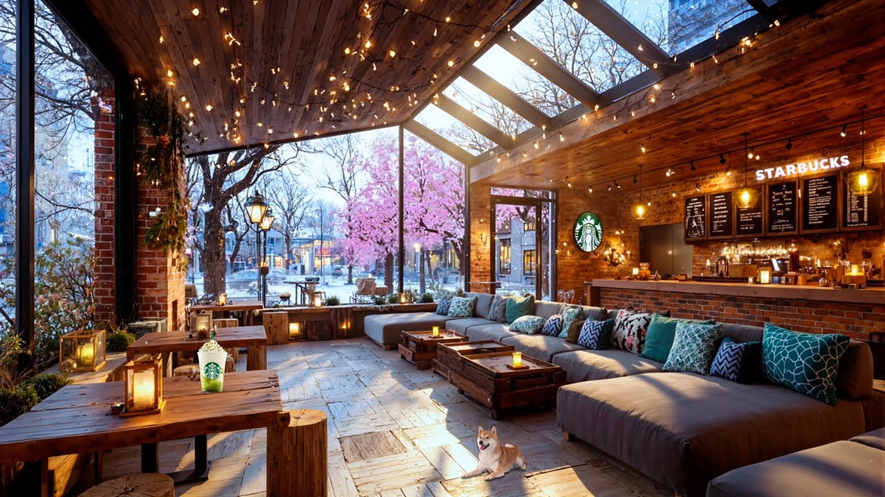 【広告なし】心ほどけるスターバックスジャズ☕🌸 桜と灯りに包まれる春のカフェBGM｜集中・勉強・癒し