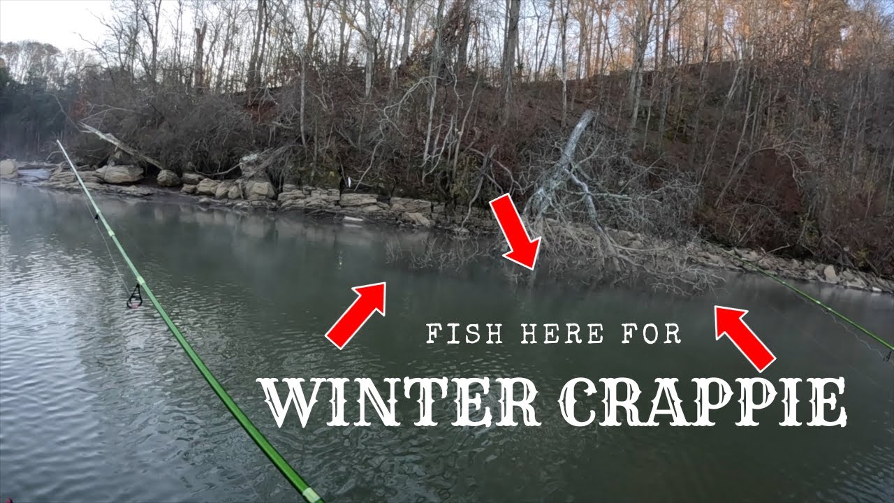 How To Catch Winter Crappie On The River | Crappie Fishing Made Easy! #fishing  #fishingvideo