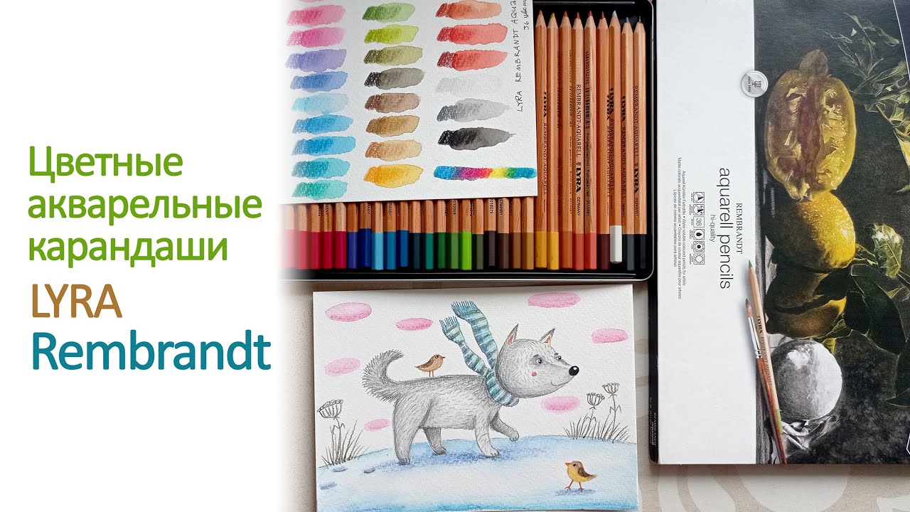 Цветные акварельные карандаши Lyra Rembrandt. Обзор, рисунок.