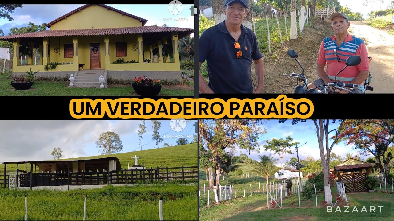 ENGENHO RIACHO DE PEDRAS EM AMARAJI-PE.