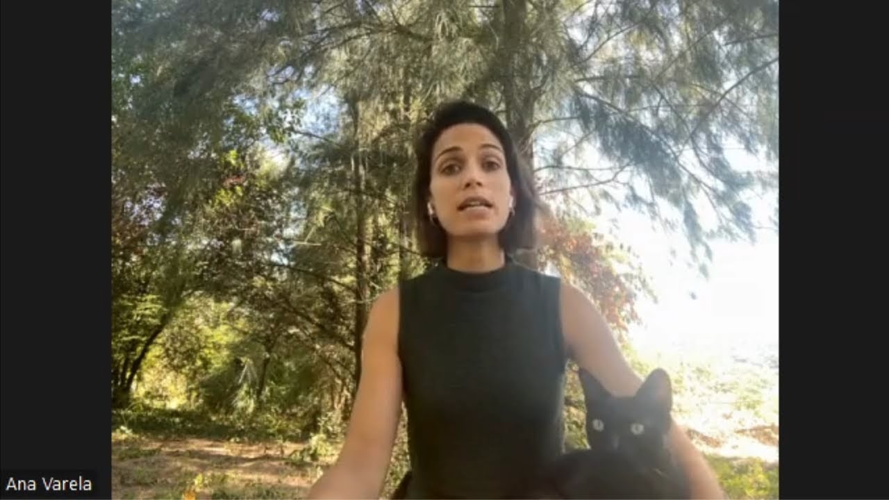 Conversas Passive House: atriz e dona de obra Ana Varela