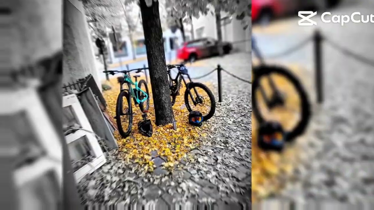 MTB 2025