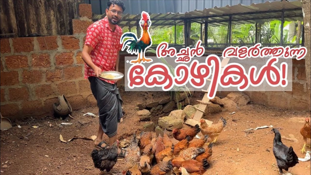 അച്ഛന്റെ കോഴികൾ..& കേരളത്തിൽ RDX സിനിമ കണ്ട ഏറ്റവും പ്രായം കൂടിയ മനുഷ്യൻ ഇദ്ദേഹമാവും..!🤣 RJ Sooraj