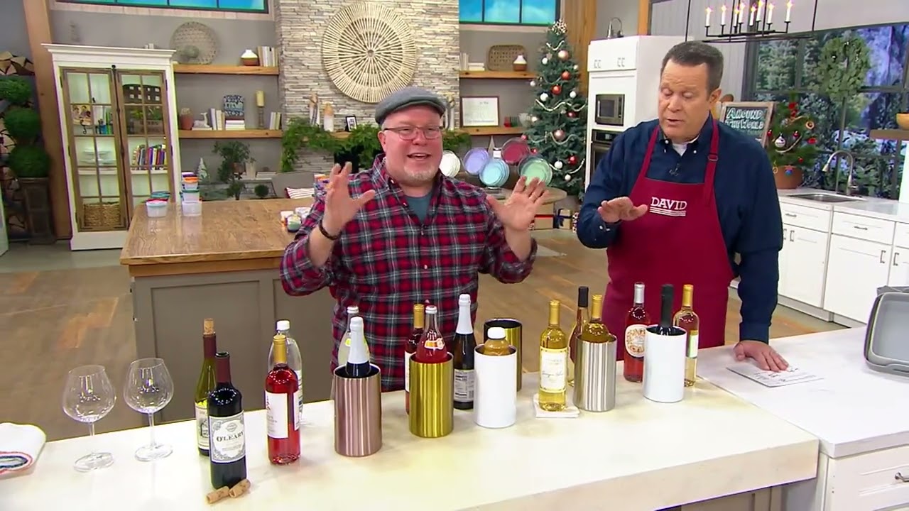 Primula Double Wall Stainless Steel Wine Chiller on QVC