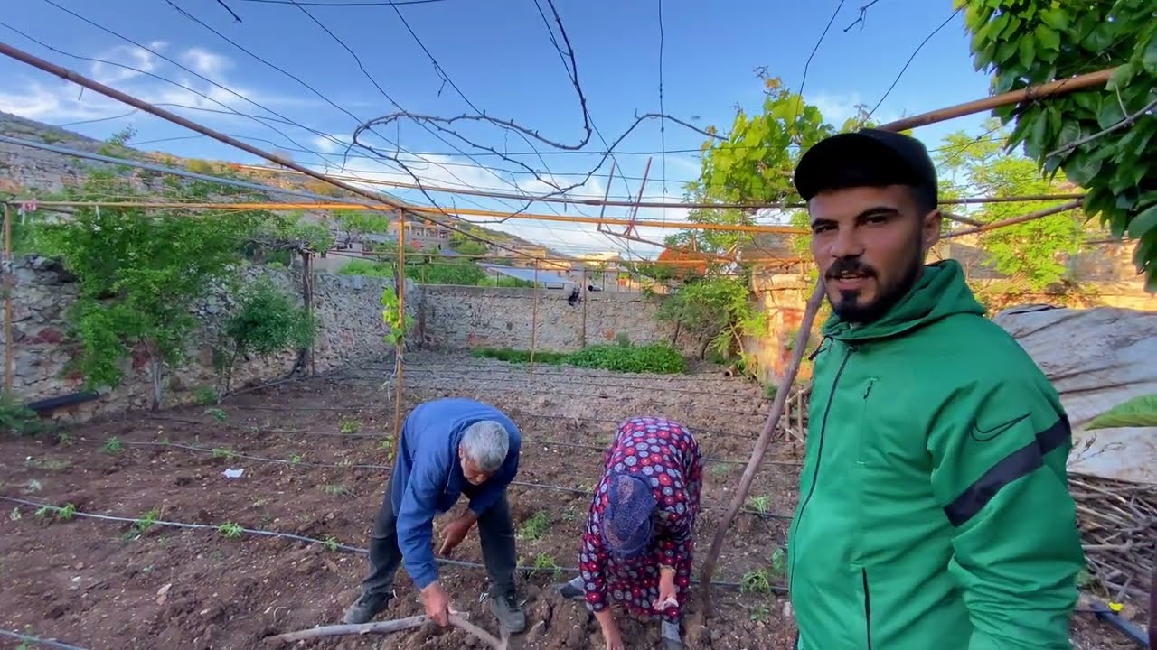 #زراعة البستان شيئ أساسي في كل منزل شو شي الي بينزرع وكيف بينزع وسر التنقيط بالشبكة خلونا نتعرف سوا