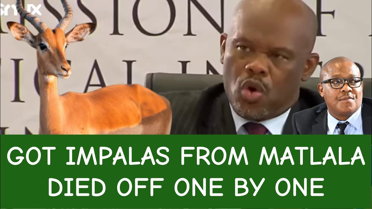 GENERAL SIBIYA PRESSED HARD ON IMPALAS BENEFITTED FROM SHADY DEALINGS WITH SGT NKOSI AND MATLALA