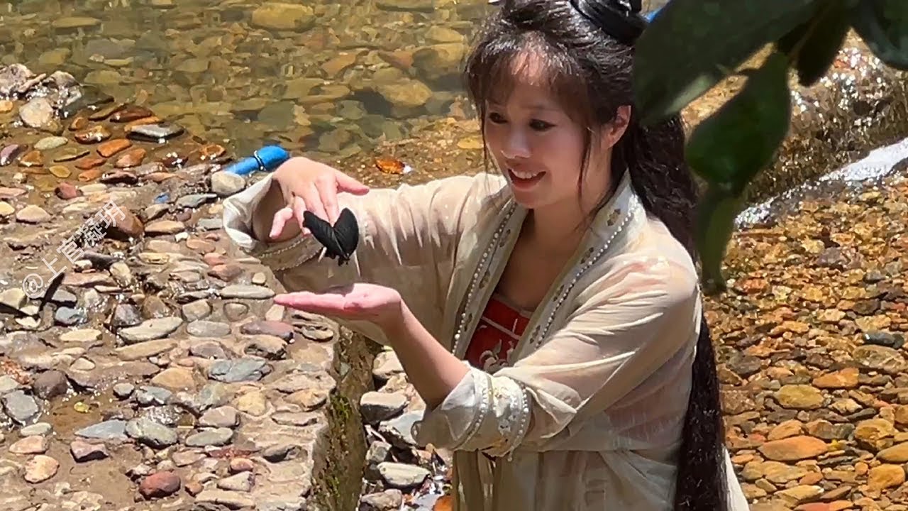 回国后的生活。夏日风噪，这一方小院子隔绝了江城的风雨喧器，云淡天高，空山清远，院子东南角的树枝上飞