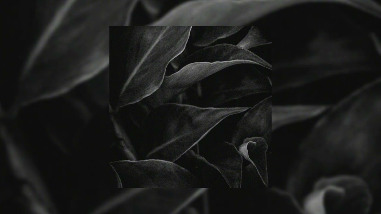 sinxi - looking for me (audio)