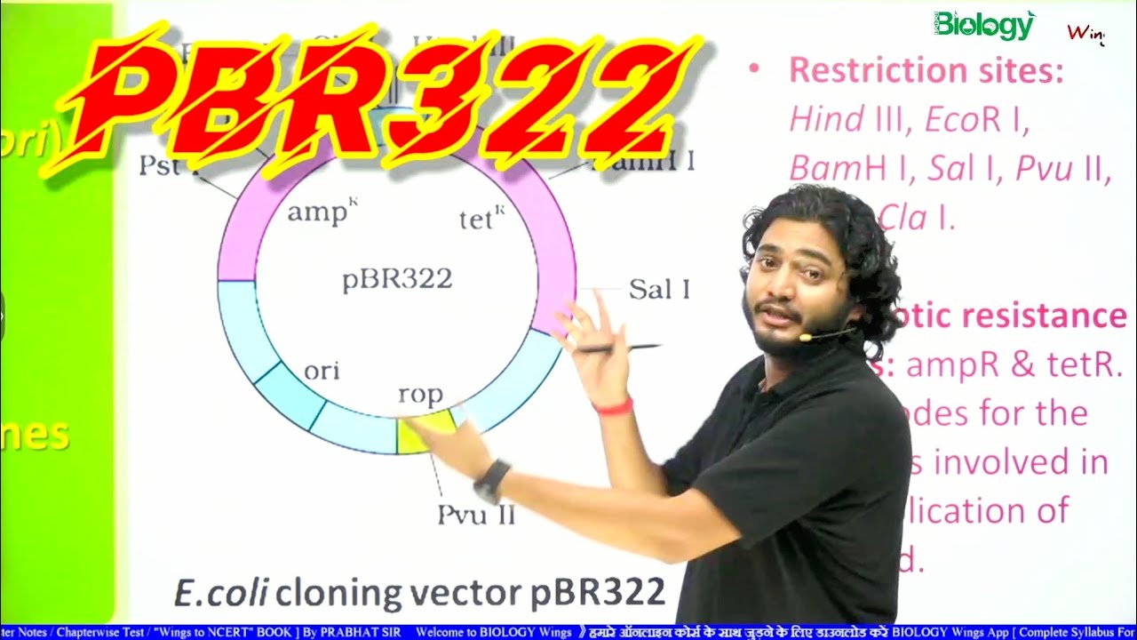 pBR322 Cloning Vector Remember it with easy tricks #biologywings