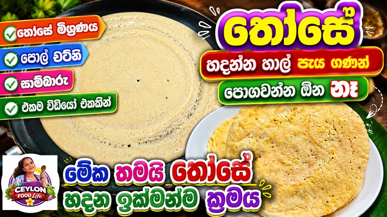 උදු ඇට වලින් පැය 3න් තොසේ /how to make instant dosa from orid seeds