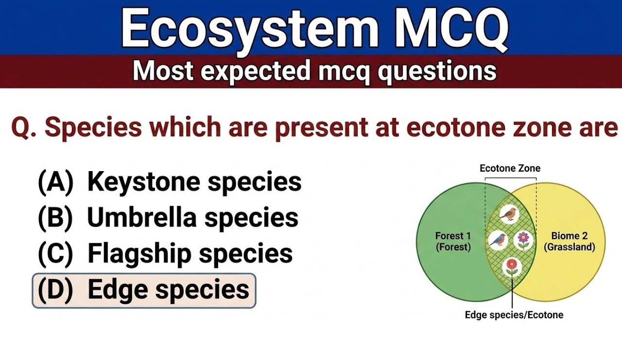 Ecosystem MCQ for NEET | Biology MCQ 2025 | Class 12 Biology MCQ