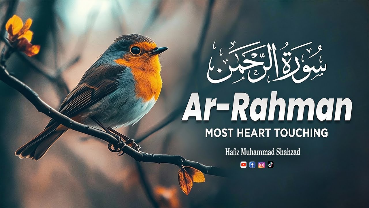 Surah Rahman Relaxing Recitation| سورۃ الرحمن | Quran Tilawat  by Hafiz Muhammad Shahzad