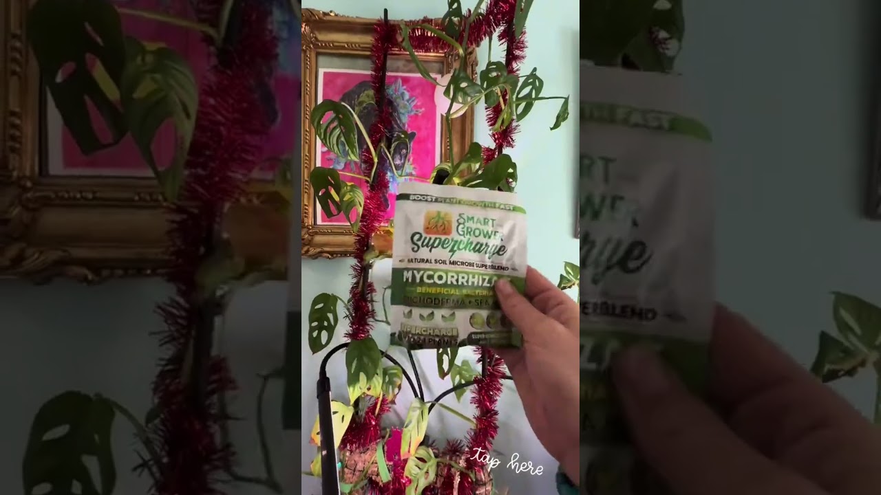 🌱✨ Supercharge Your Plants Inside and Out! ✨🌱 Get ready to take your plant game to the next level