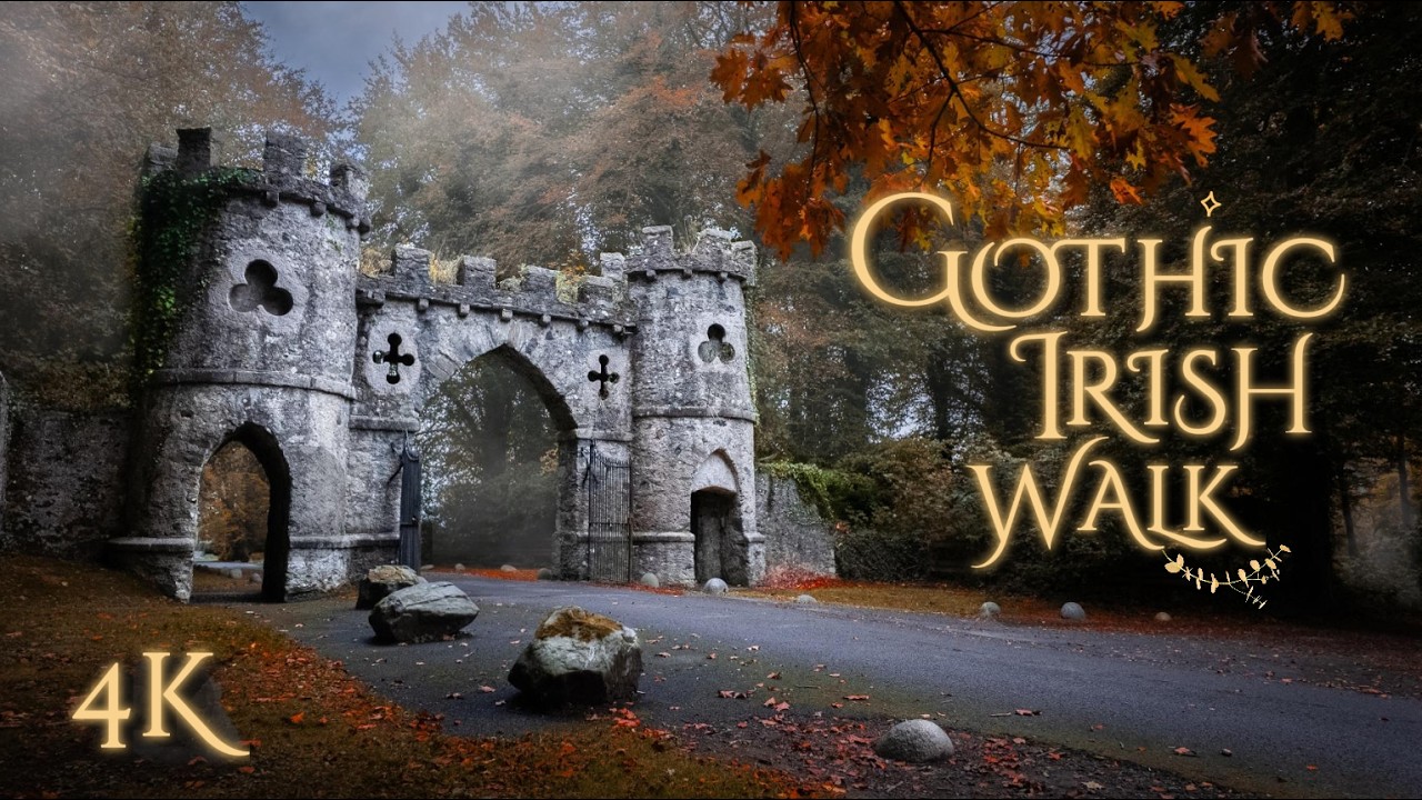 Misty & Eerie Autumn Forest Stroll🕯️🥀 |  Tim Burton Inspired Gothic Walk in Tollymore, Ireland (4K)