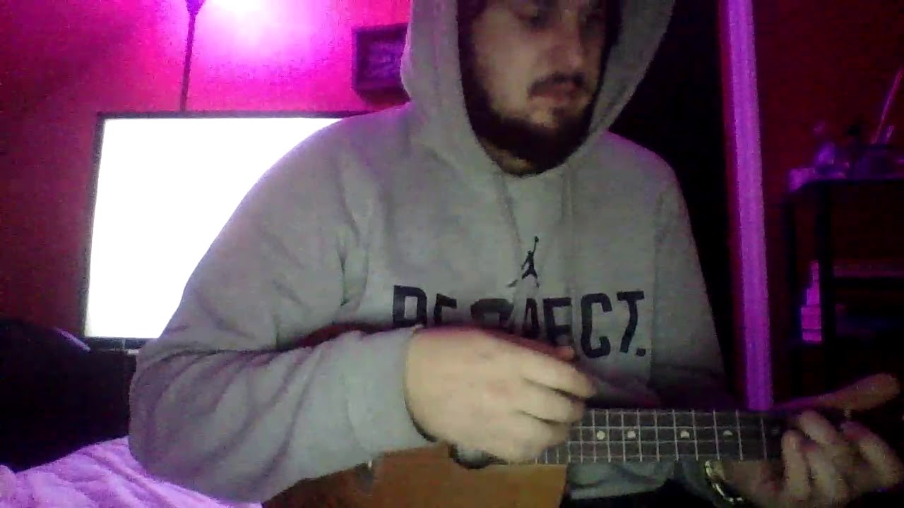 Vance Joy riptide ukulele version