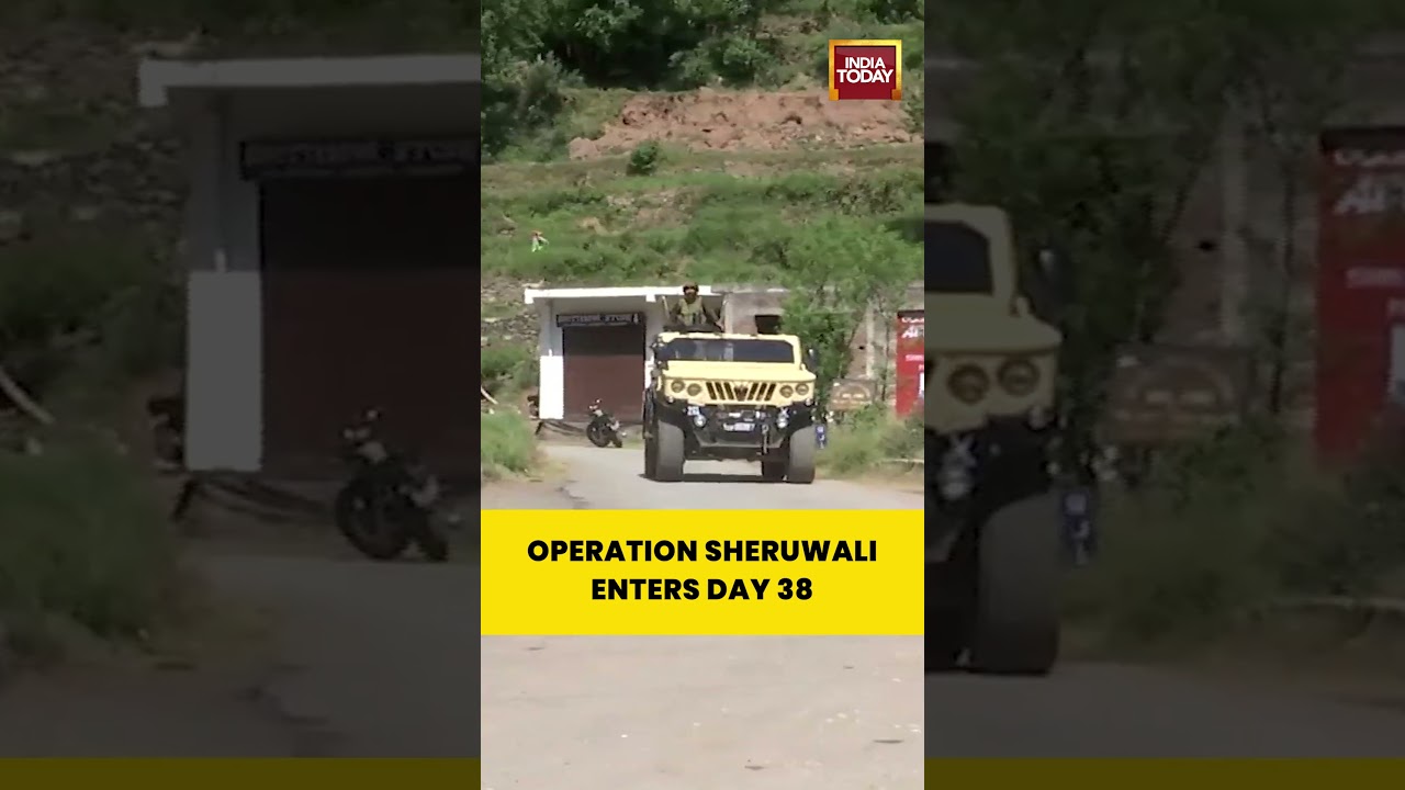 Operation Sheruwali Day 38: Massive Terror Hunt Continues in Rajouri #operationsheruwali #jammu