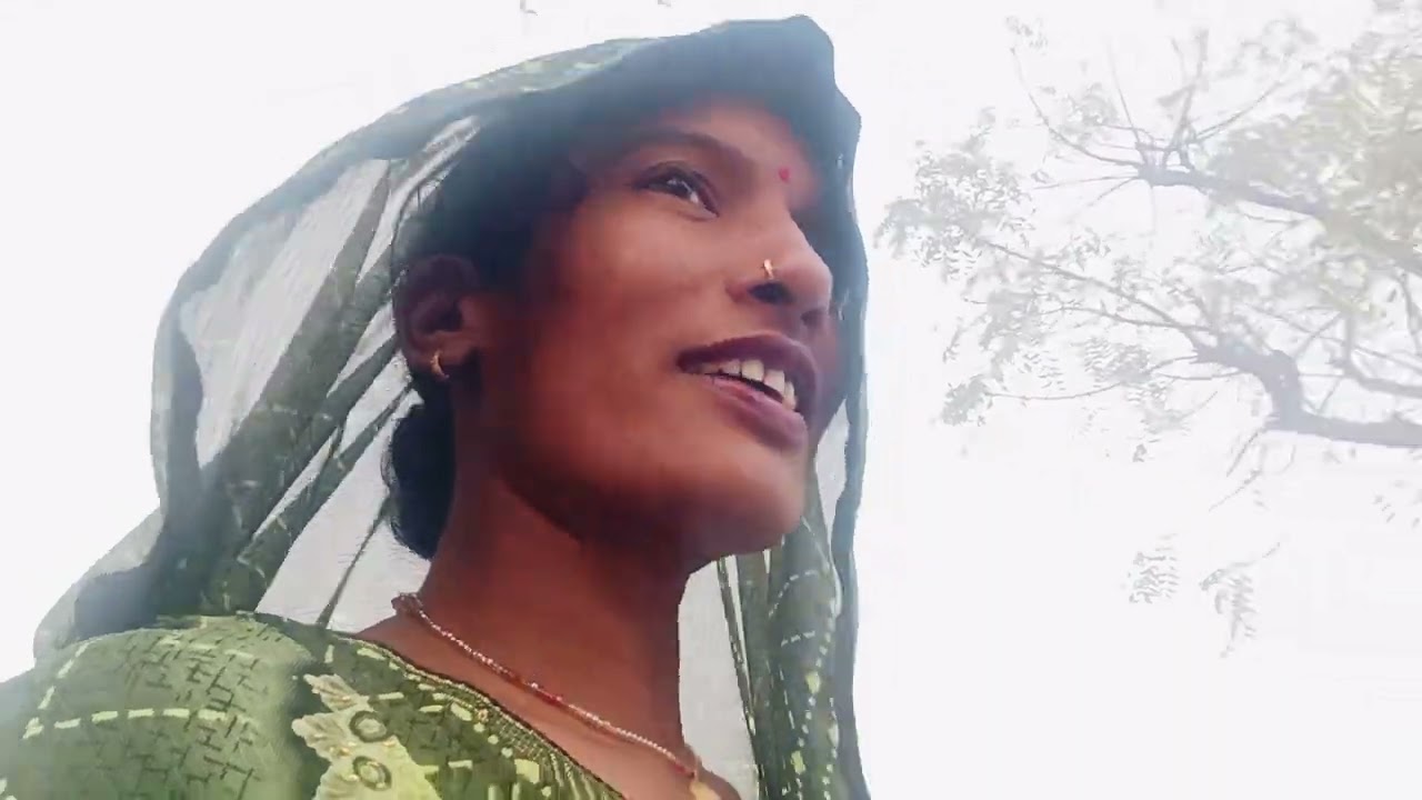 आओ देखते हैं आलू कैसे खोदा जाता है