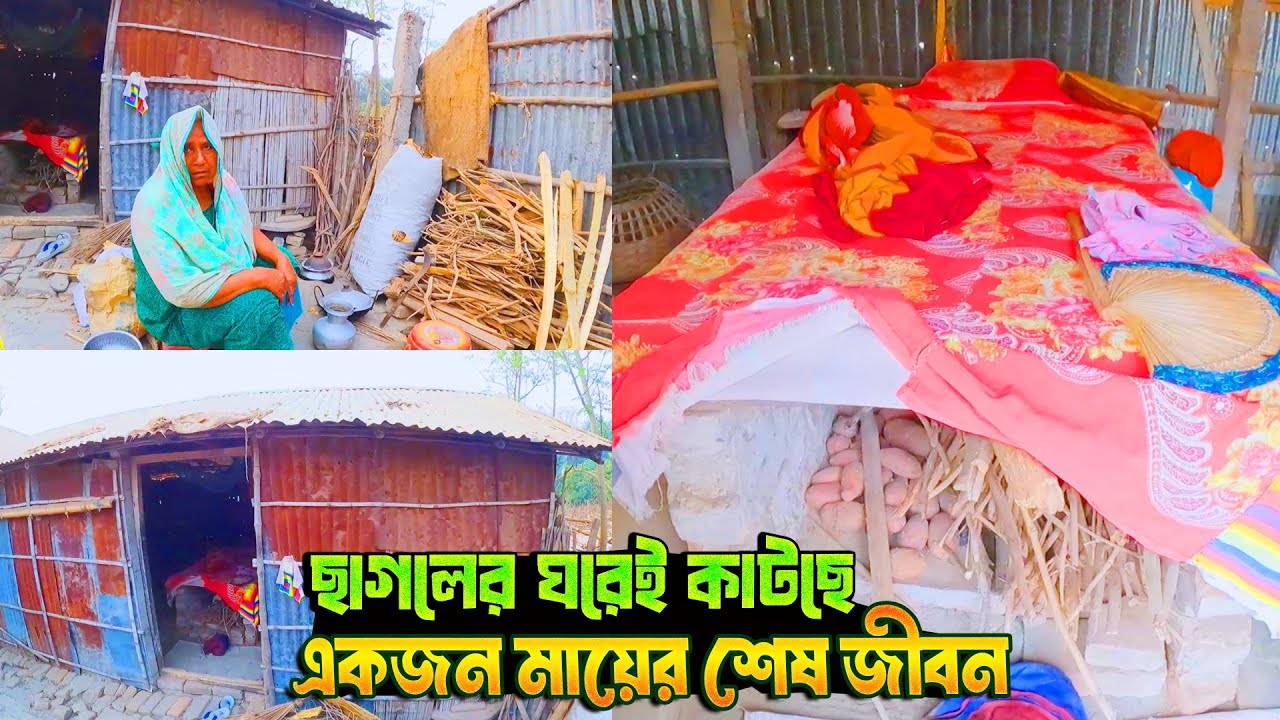 ছাগলের ঘরেই কাটছে একজন মায়ের শেষ জীবন 