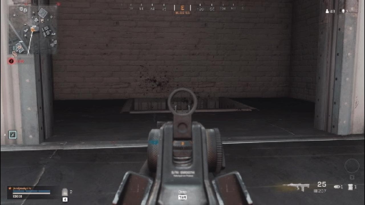 Warzone fed up with roze skin