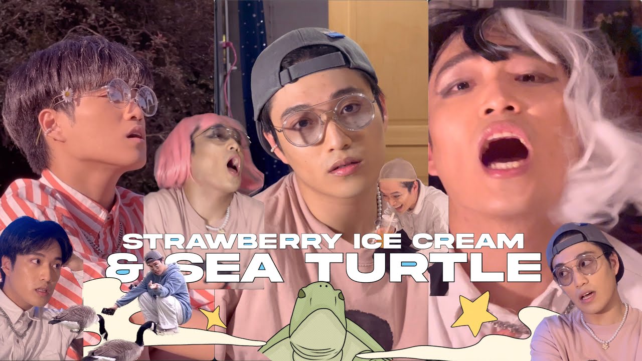 strawberry ice cream with turtle