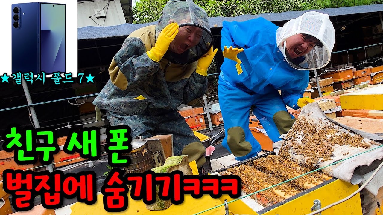 친구 새 폰 벌집에 숨기기ㅋㅋㅋ