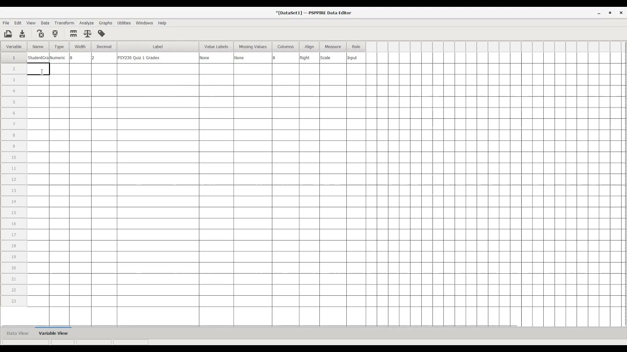 PSPP Tutorial