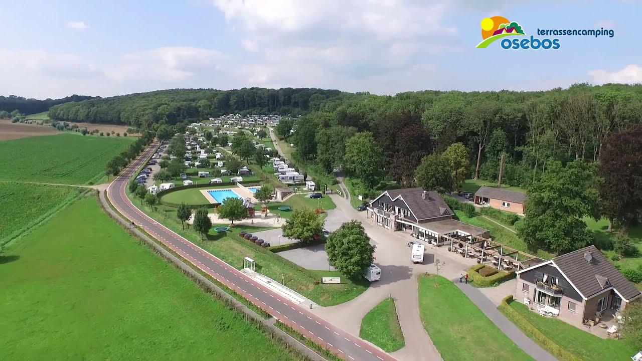 Osebos luchtopname