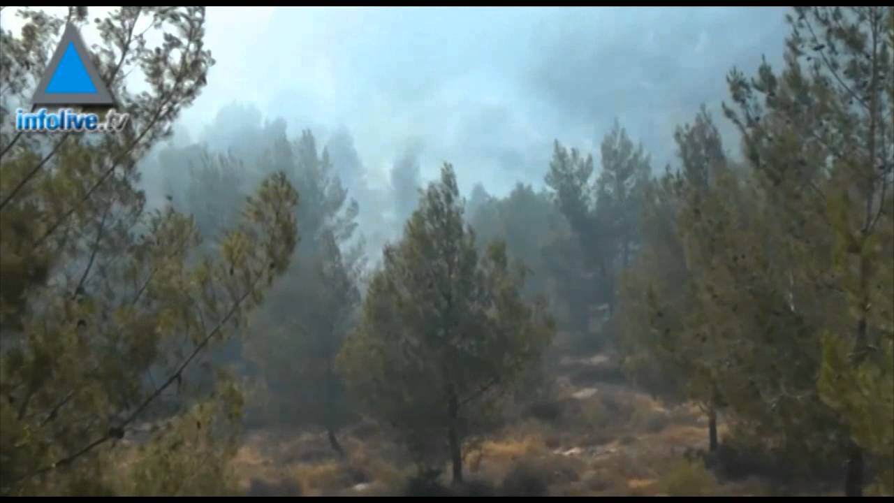 Police suspect arson in Jerusalem fire