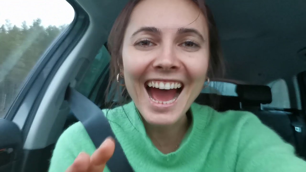 DA INTERRAIL A ON THE ROAD. 900 km in macchina in SVEZIA - Interrail ep. 12