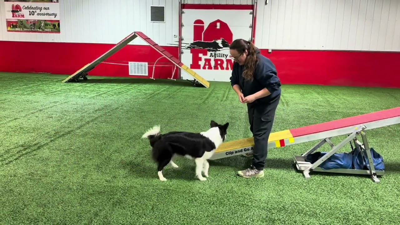 Token Agility Training