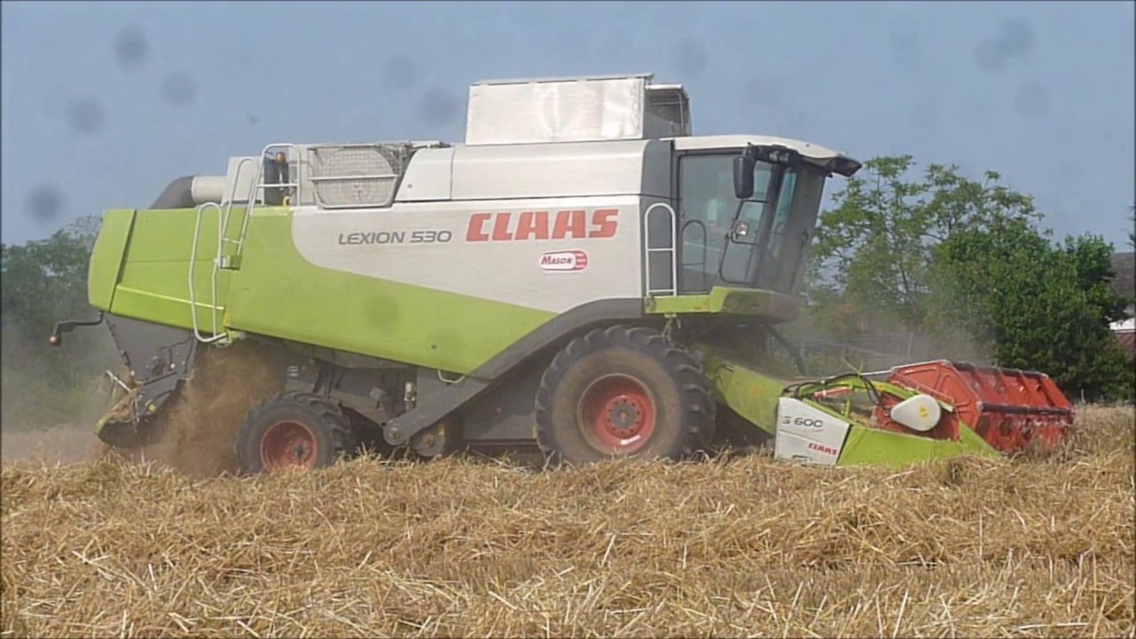 AGRIMAC - TREBBIATURA FRUMENTO 2013 video 1 CLAAS LEXION 530