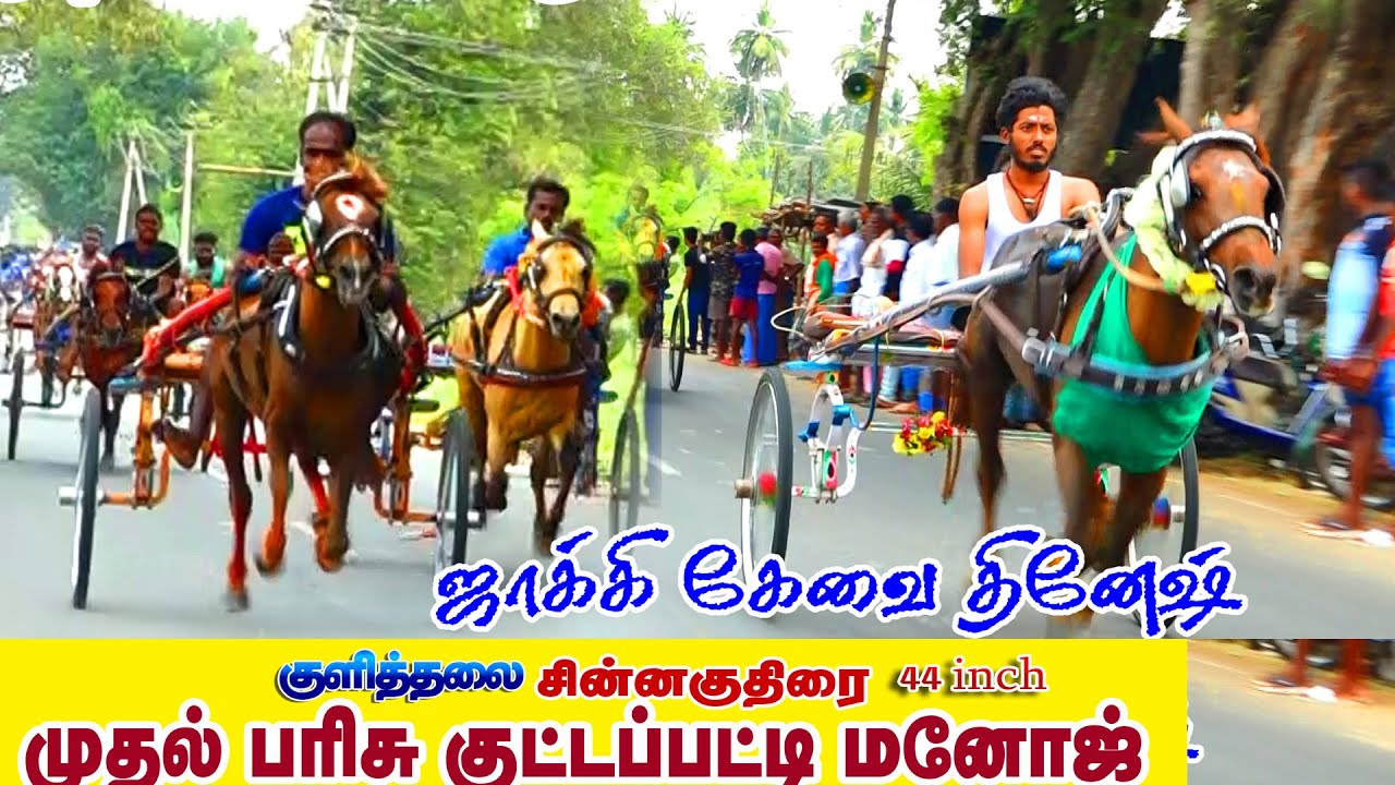44 inch குளித்தலை 19-03-2023 kulithalai karur Veera rekla race