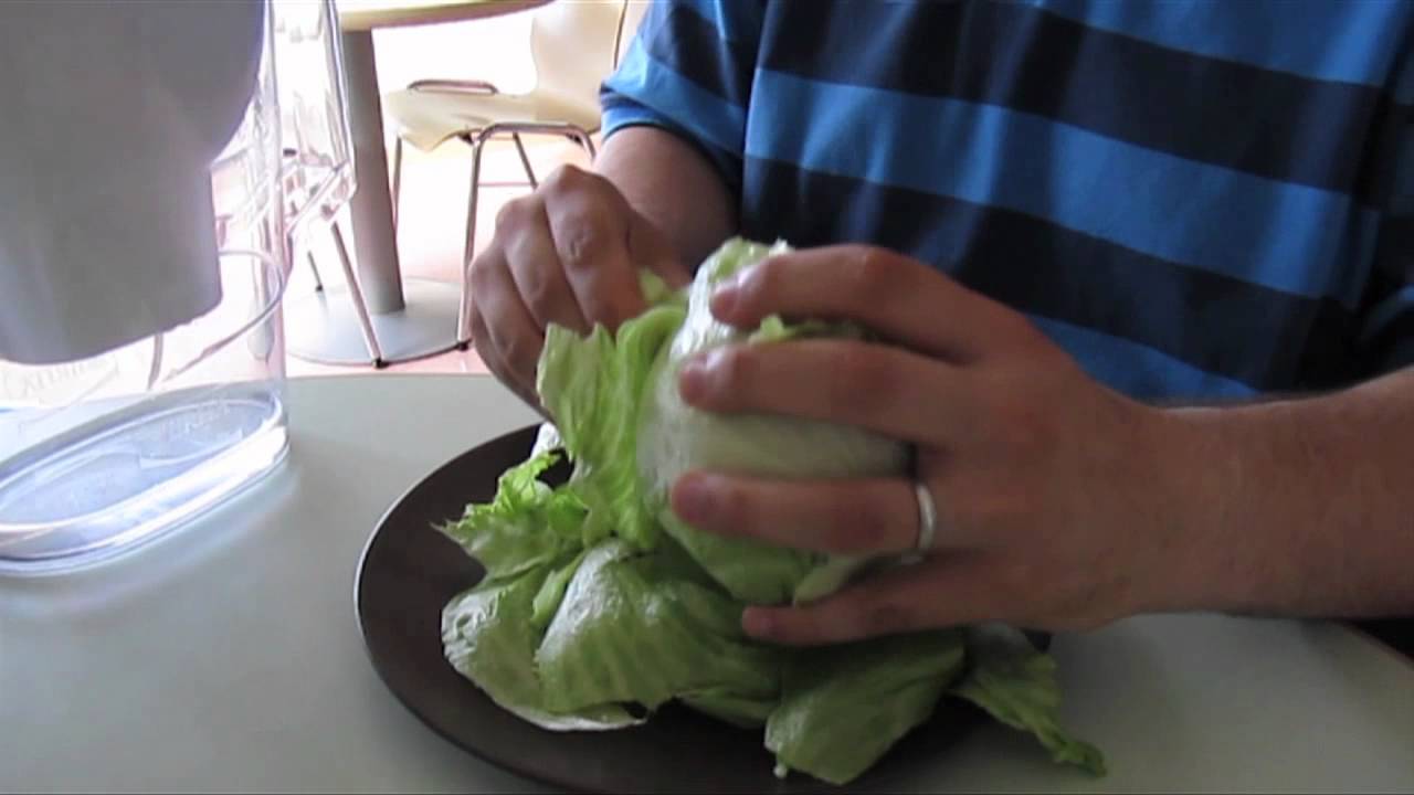 Mad Science Hour (Lettuce Reanimation)