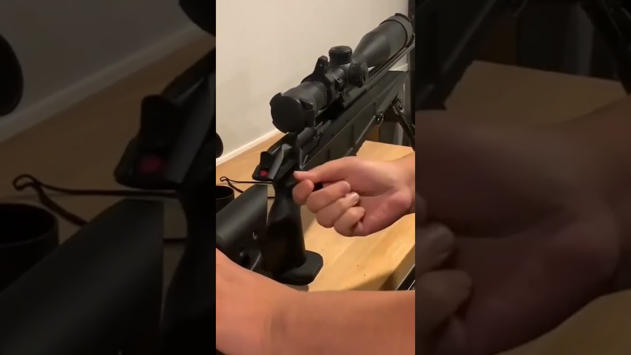 Blaser vs Savage Straight pull