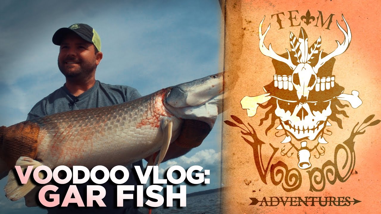 Vermilion Bay Gar Fish- Voodoo Vlog Ep. 4