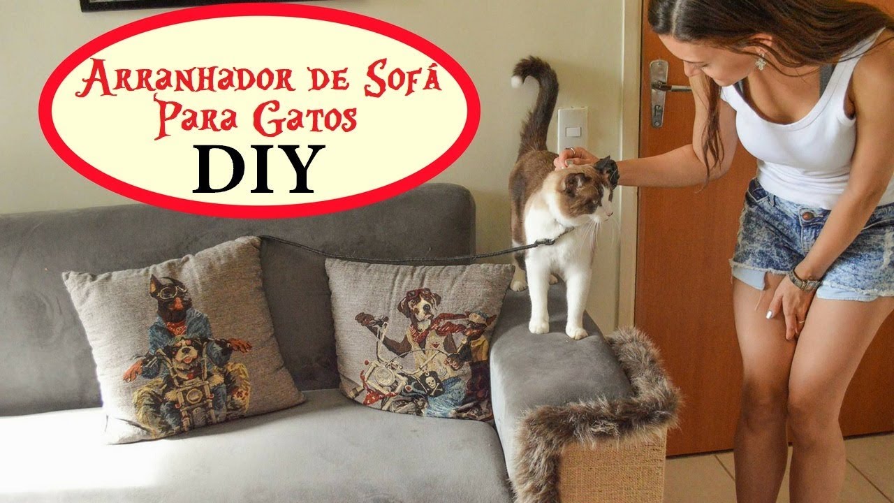 Arranhador de sofá para gatos DIY 😻