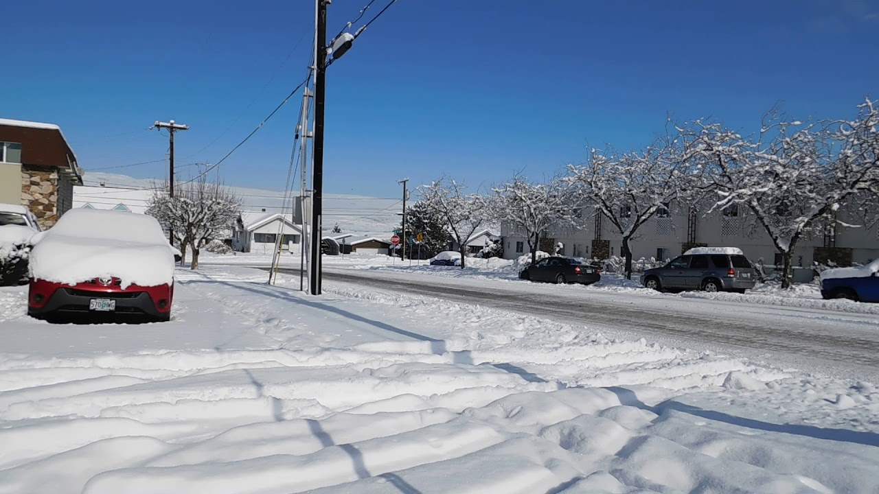 One Foot Snow on the Driveway
