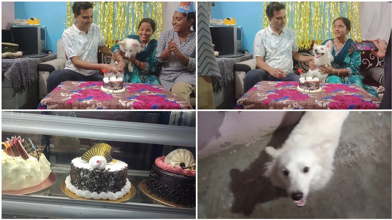 Sheru ra birthday vlogs 💗🥰 || first birthday 🎂🎈|| subscribe for more @BANITAPANDAVLOGS-c2r 