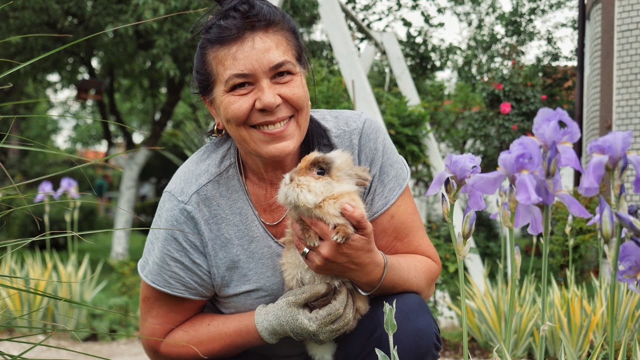 Majčin dan u vrtu: Recept za ukusne hurmašice i ručak na njivi 👩🏻‍🌾