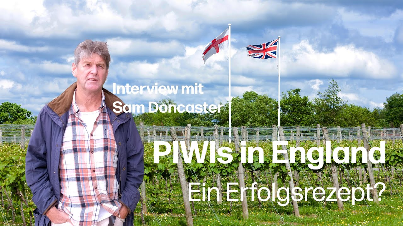 Sind PIWI-Weine aus dem Norden die Zukunft? | Interview mit Sam Doncaster