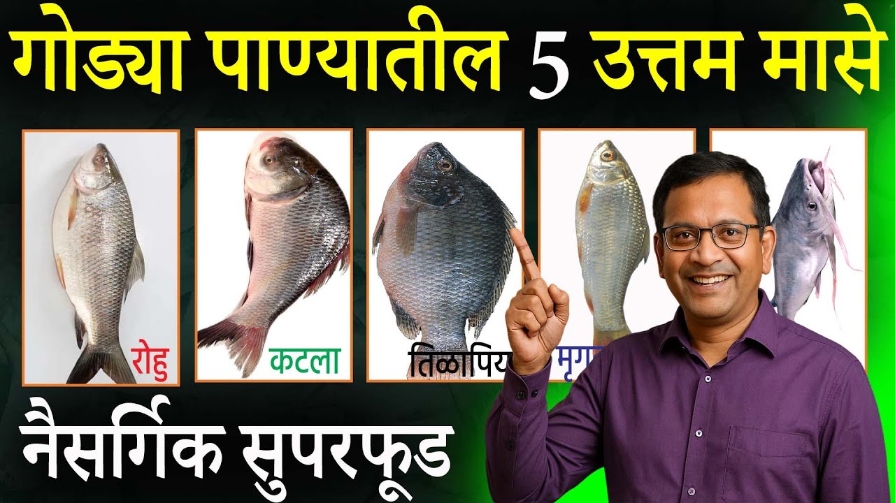 Best 5 Fish with Proven Health Benefits! गोड्या पाण्यातील उत्तम 5 मासे  तुमचं आरोग्य बदलू शकतात