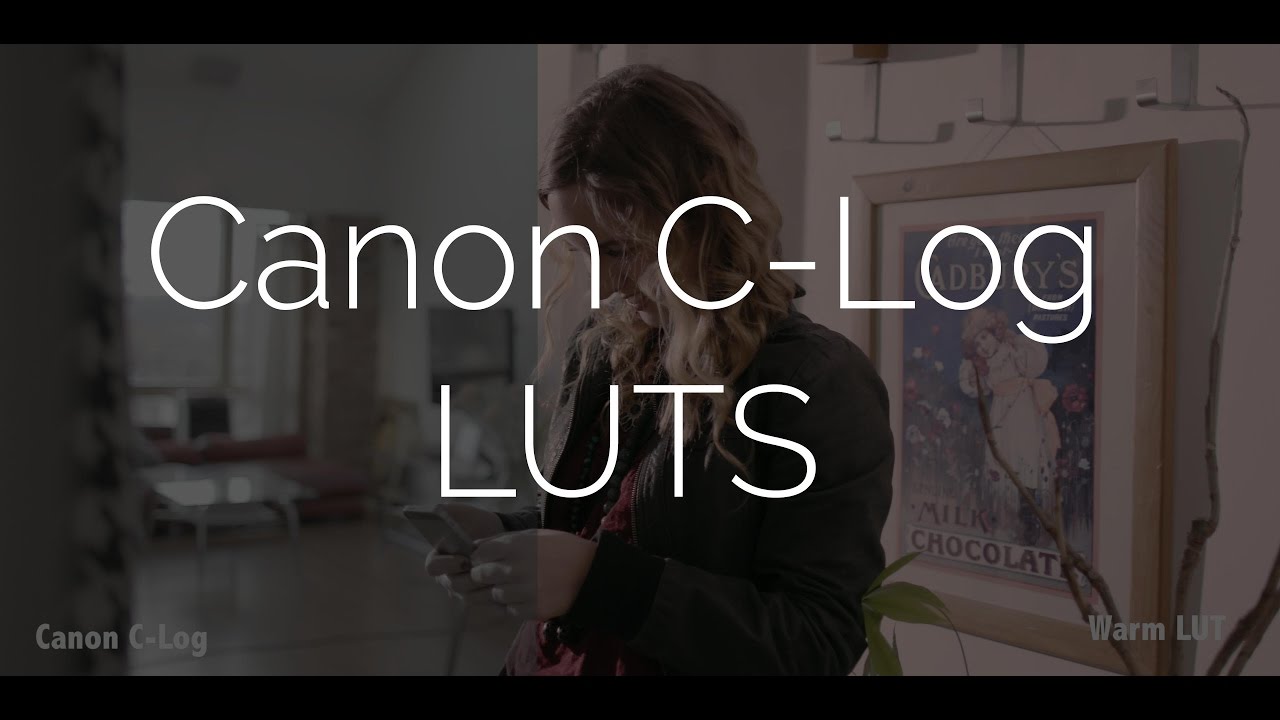 Canon C-Log LUTS